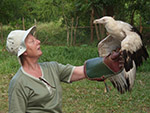 Kenya Falconry Centre Ruth Baker Walton with and Eqyptian Vulture